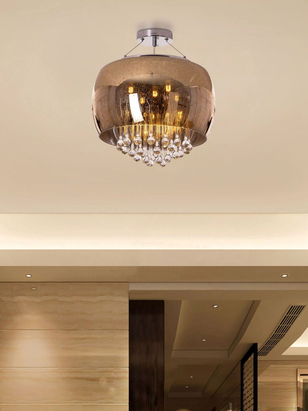 Designer Ceiling Lamps