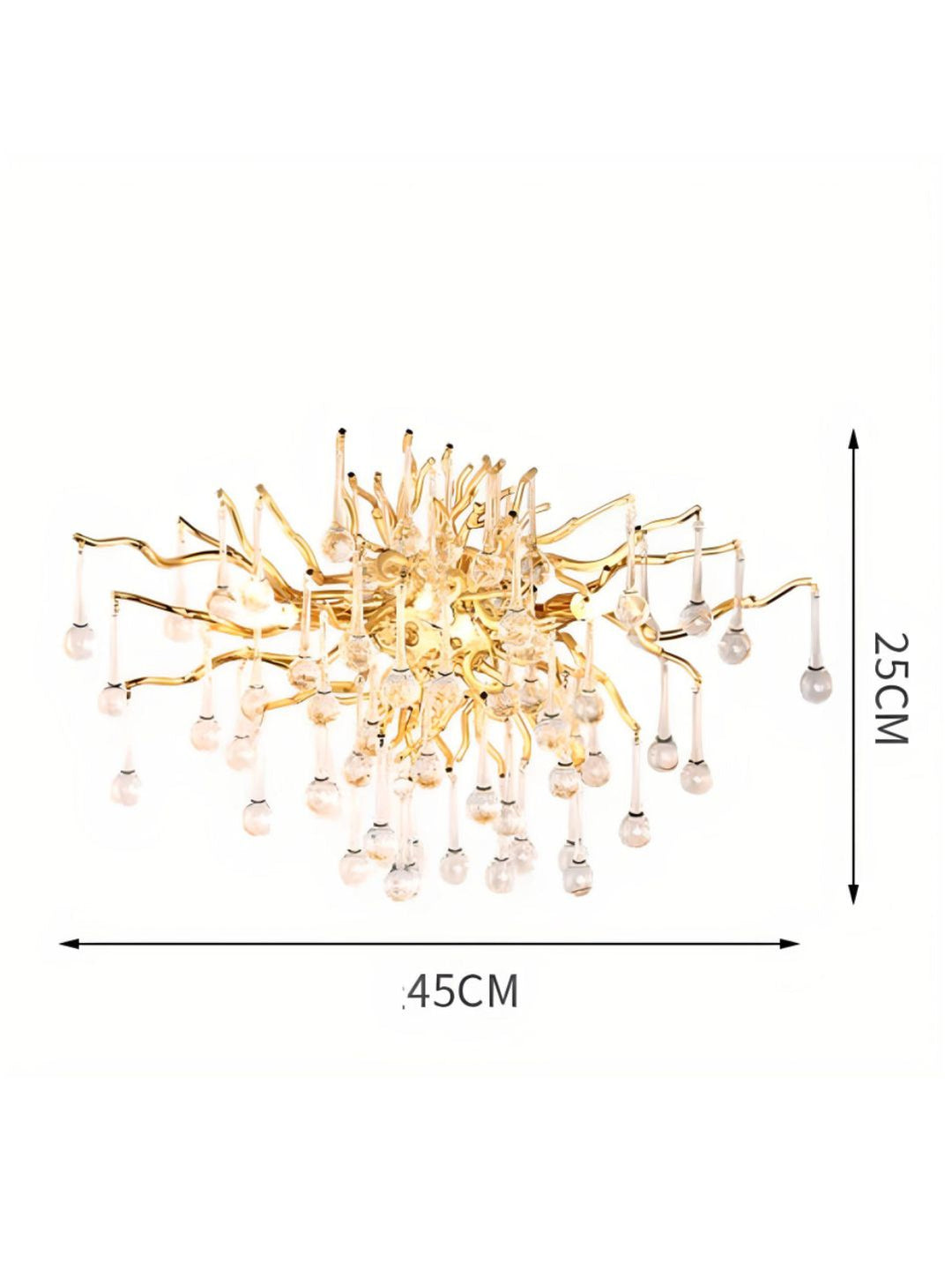 Designer Wall Lamps
