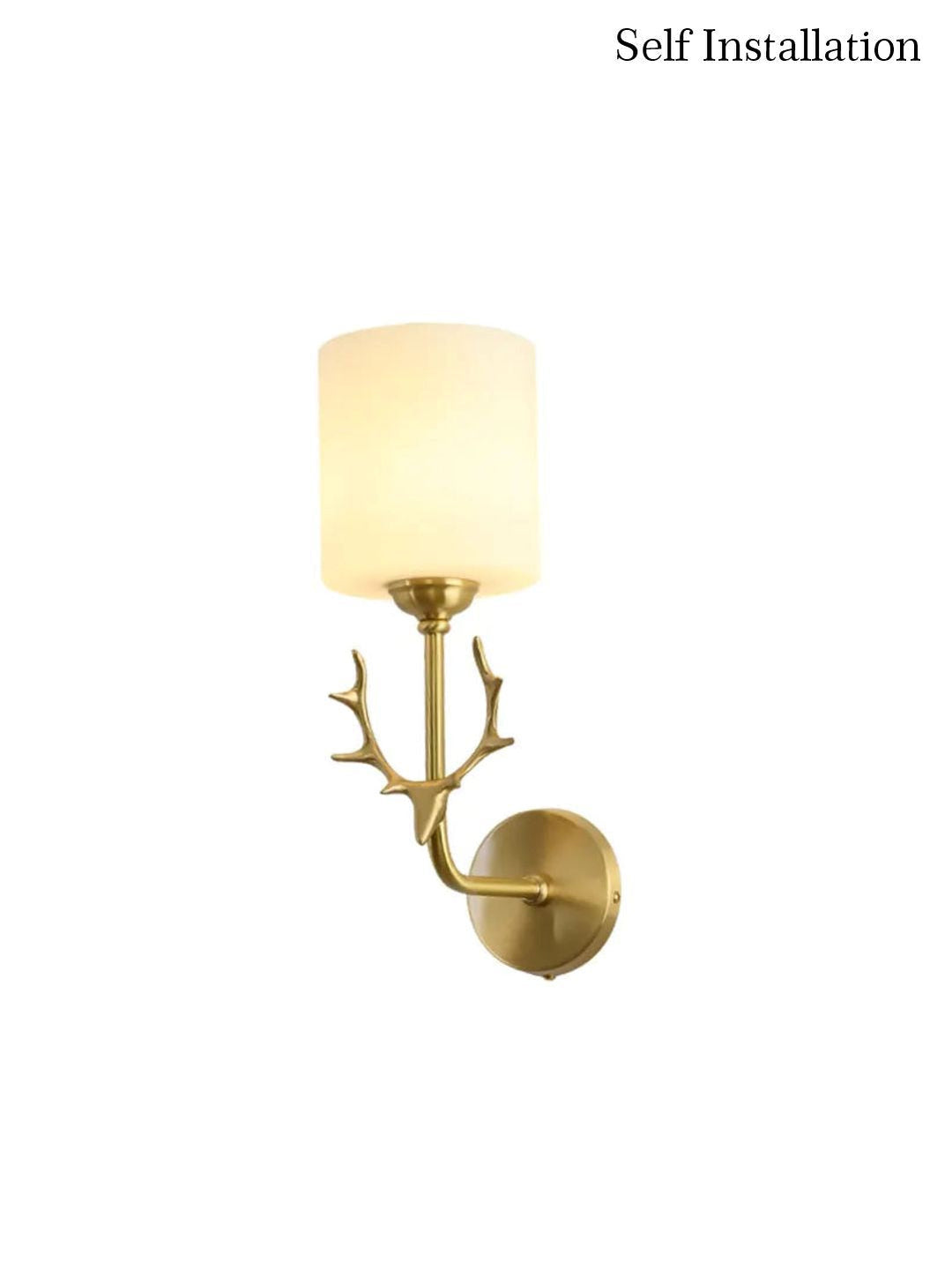 Designer Wall Lamps
