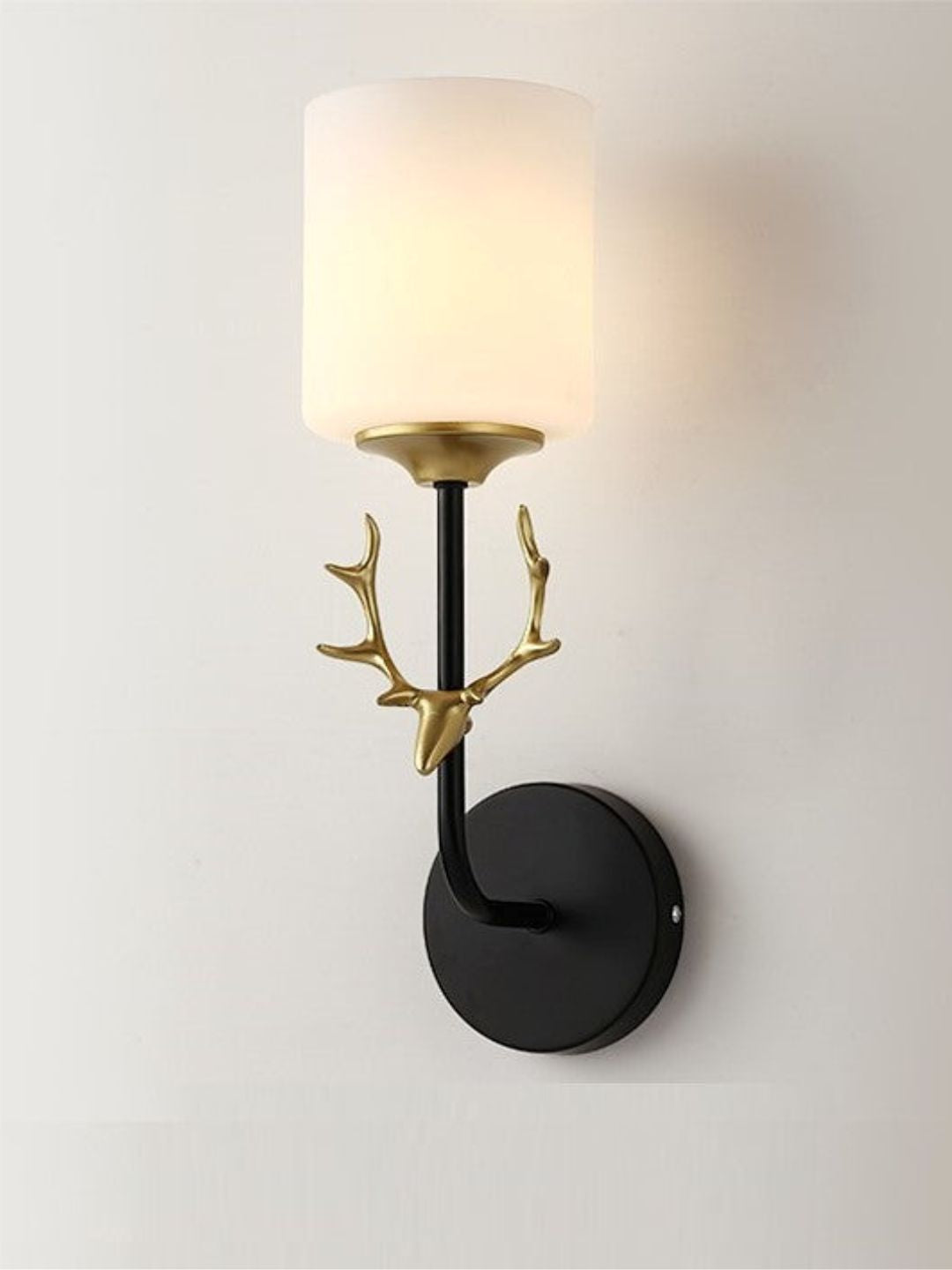 Designer Wall Lamps