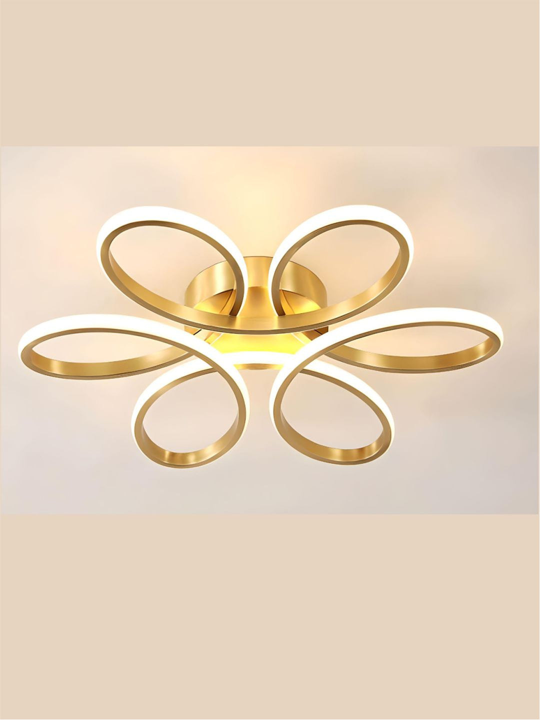 Designer Ceiling Lamps