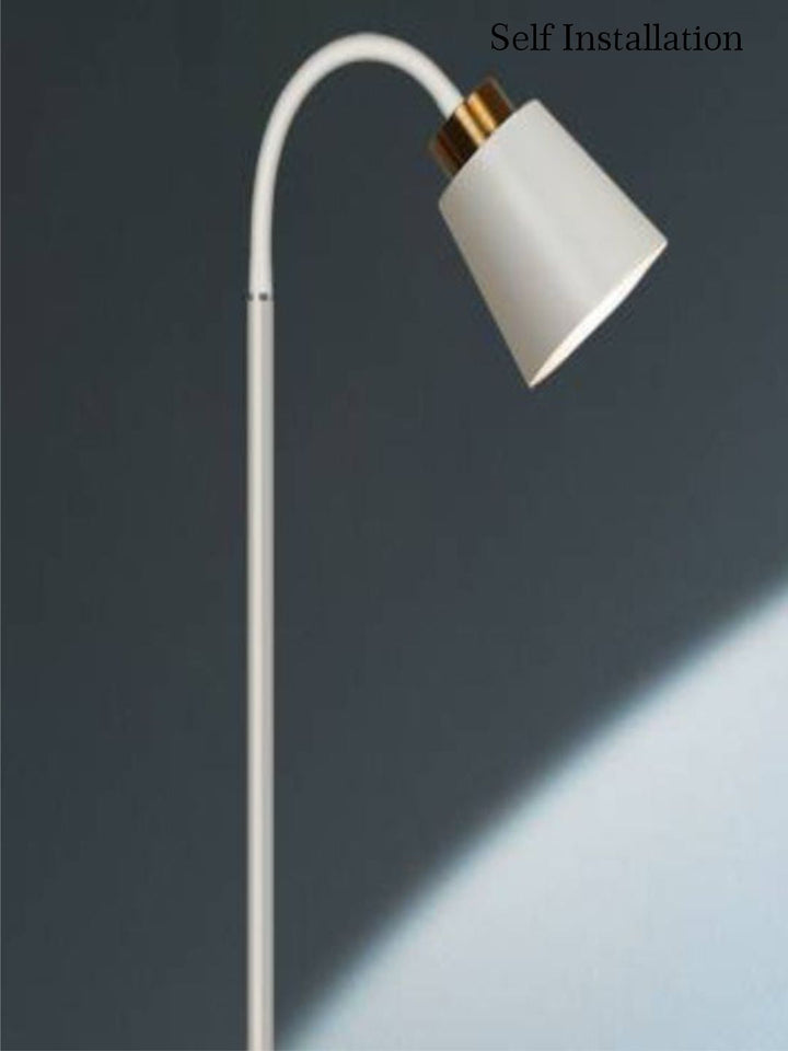Designer Wall Lamps