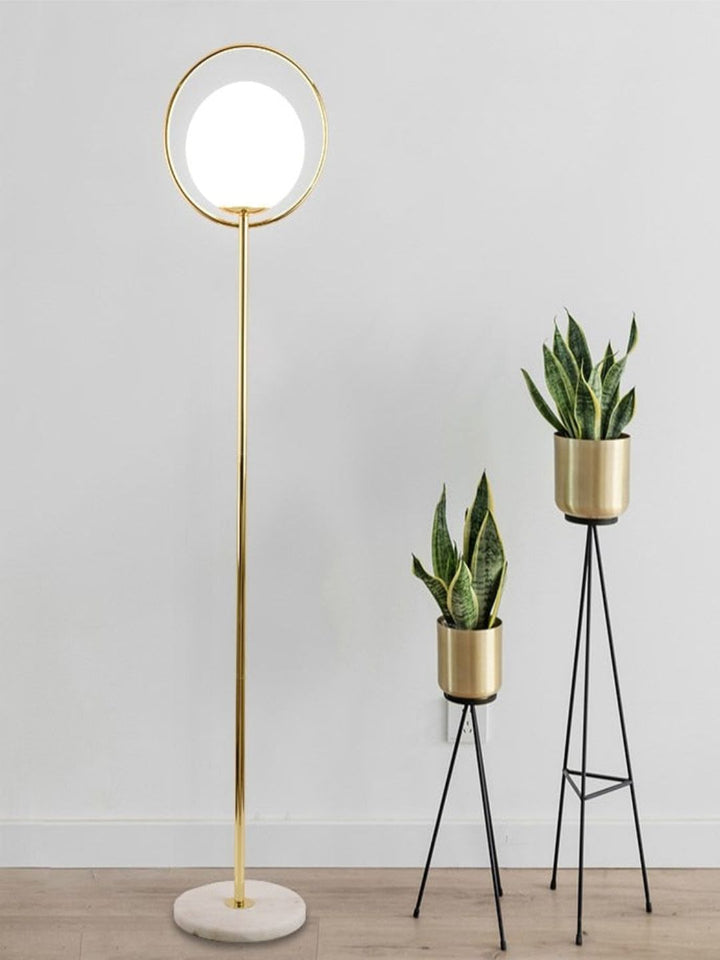 Designer Wall Lamps