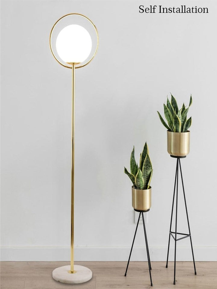 Designer Wall Lamps