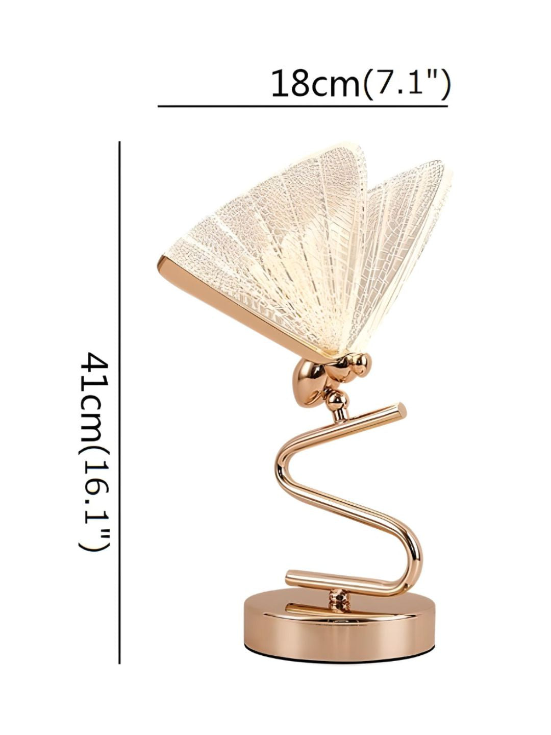 Designer Wall Lamps