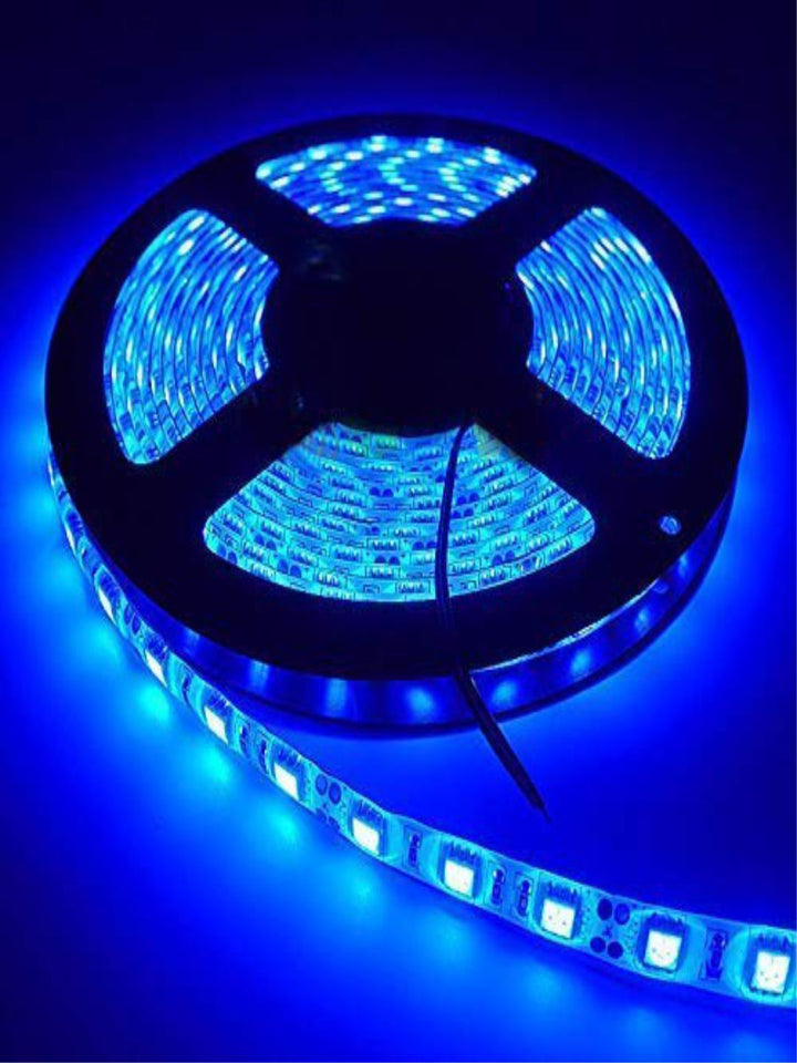 Designer Wall Lamps