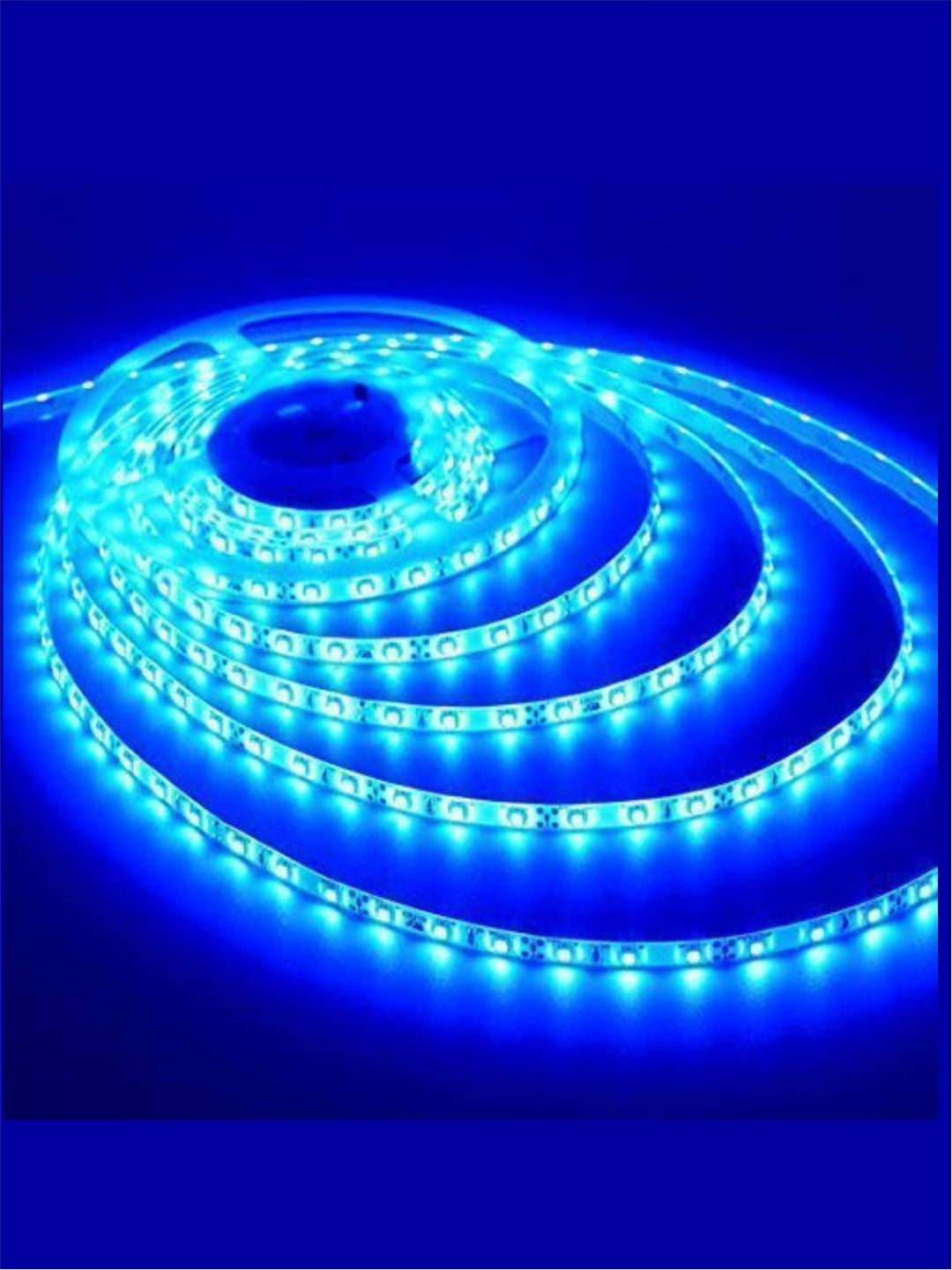 Designer Wall Lamps