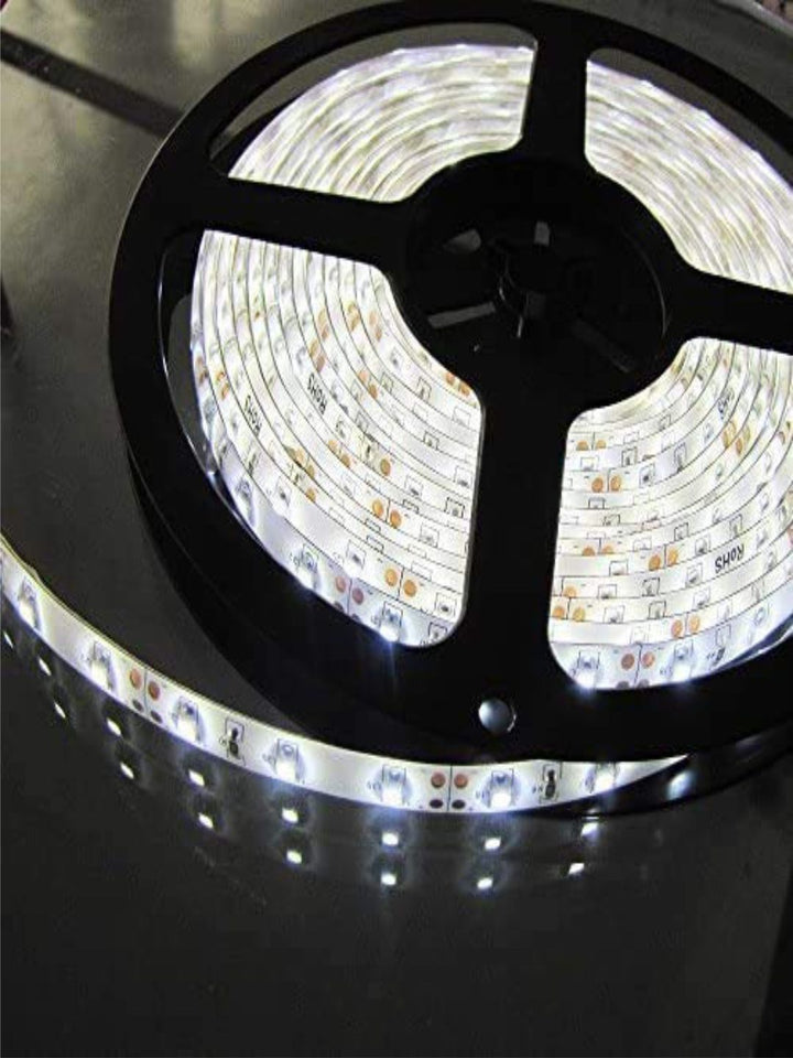 Designer Wall Lamps