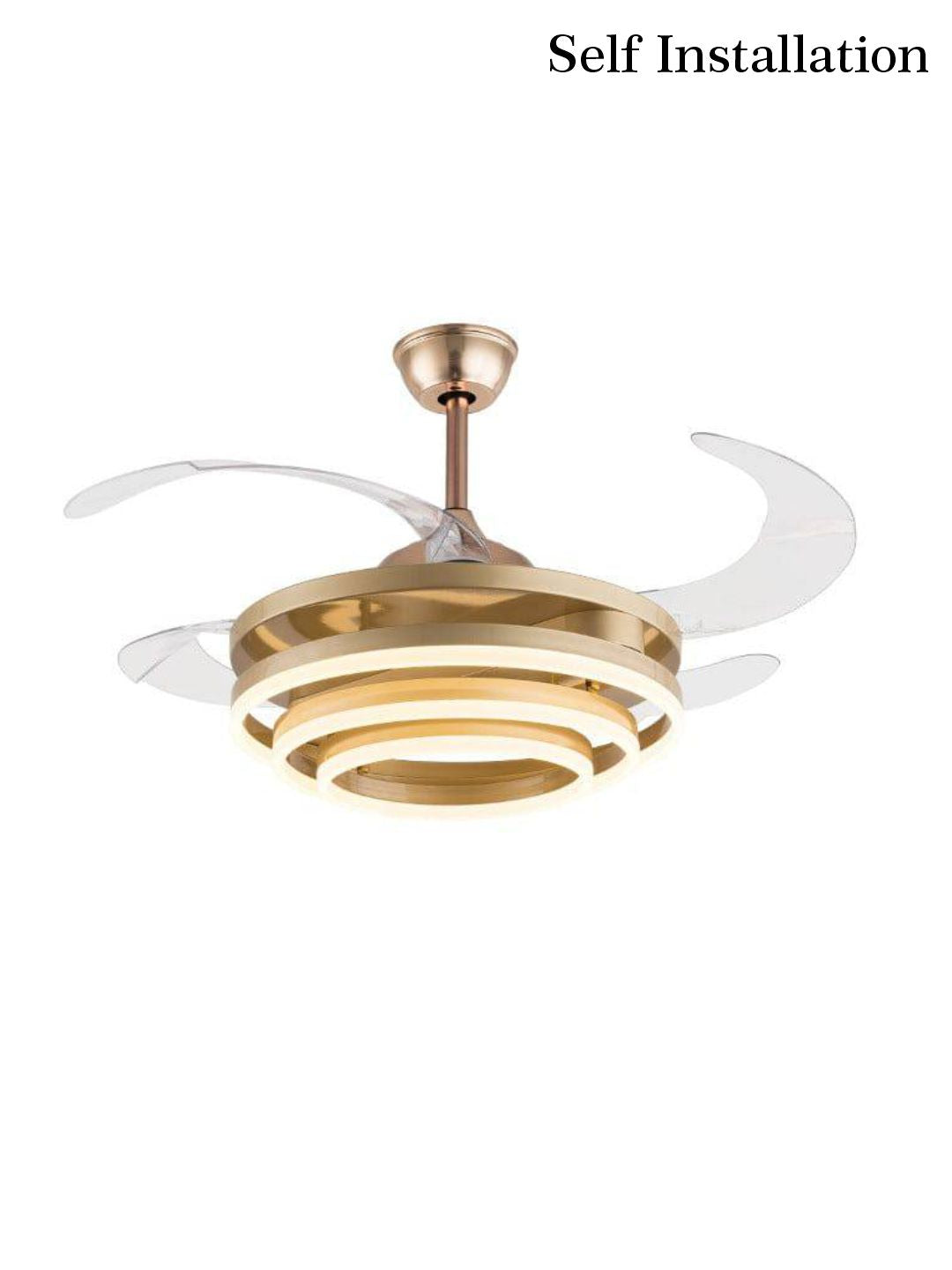 Designer Wall Lamps