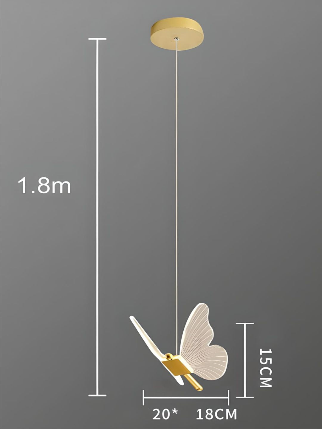 Designer Wall Lamps