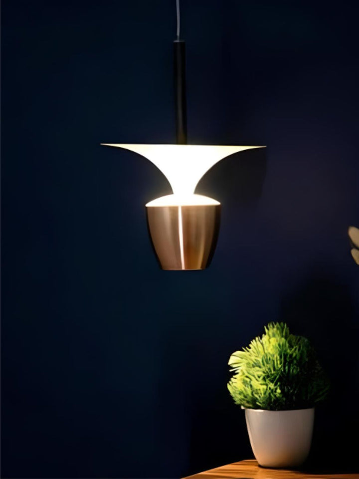 Designer Wall Lamps