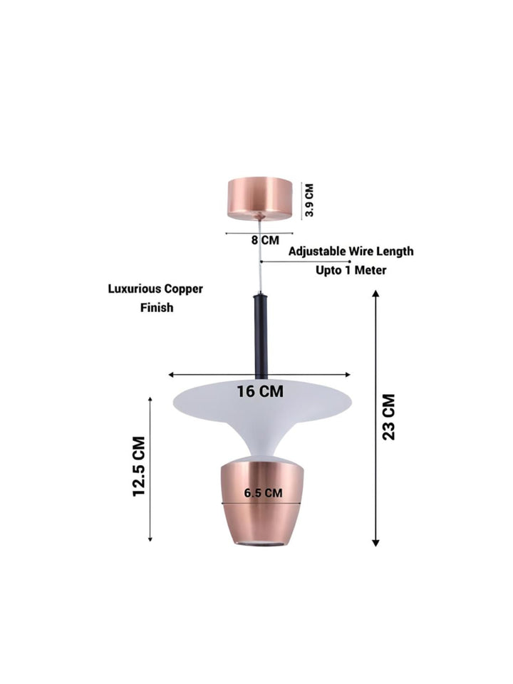 Designer Wall Lamps
