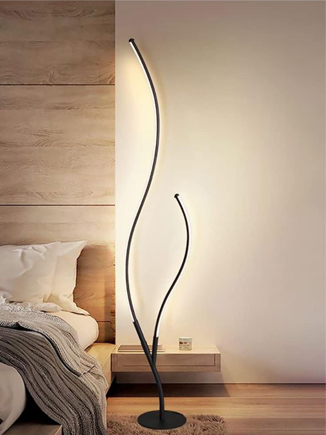 Designer Ceiling Lamps