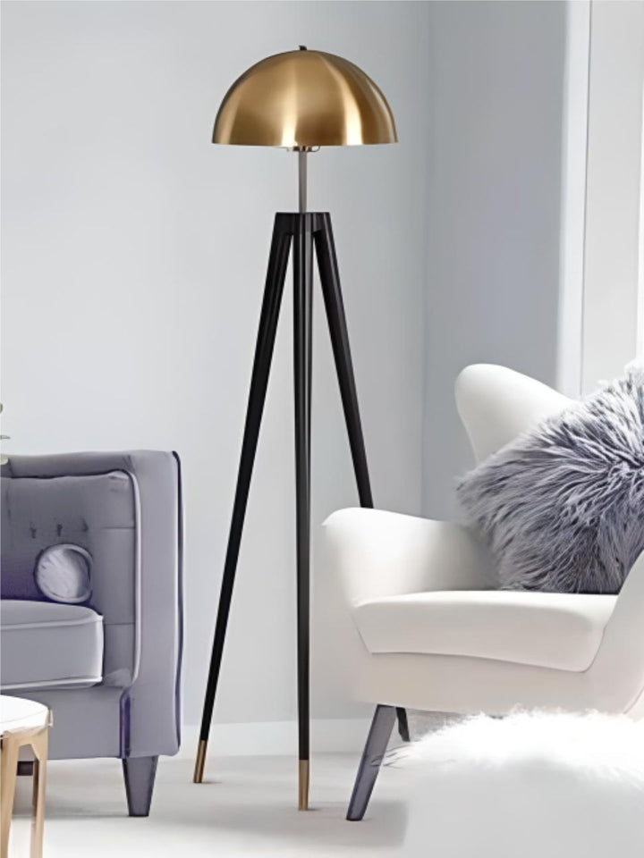 Designer Ceiling Lamps