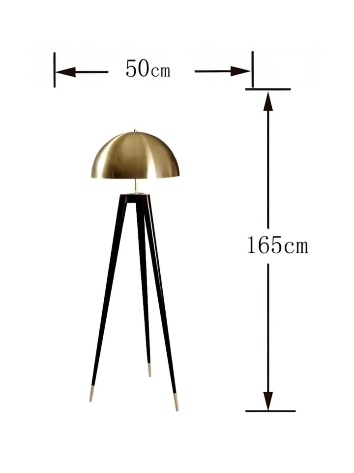 Designer Ceiling Lamps