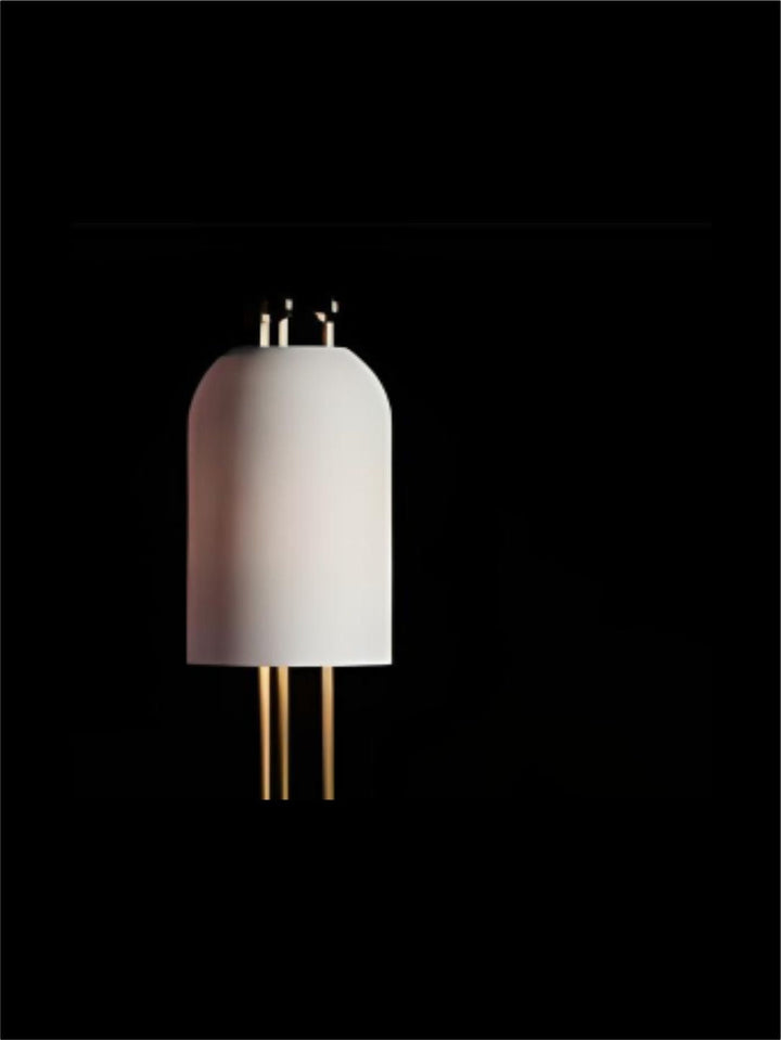 Designer Ceiling Lamps