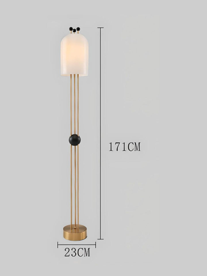 Designer Ceiling Lamps