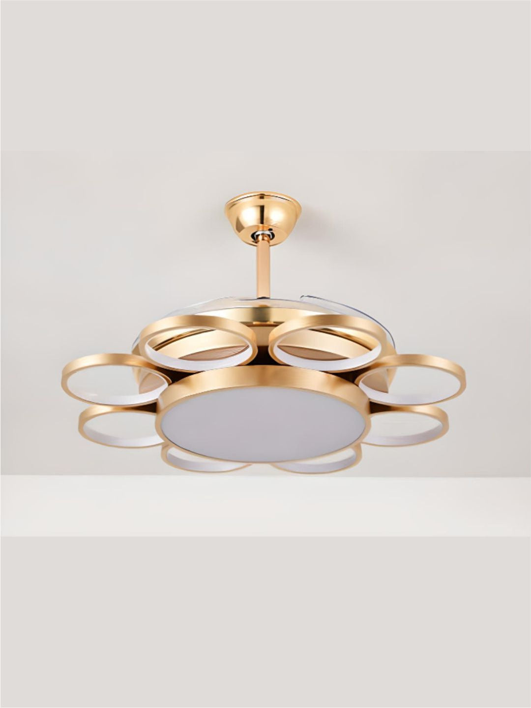 Designer Ceiling Lamps
