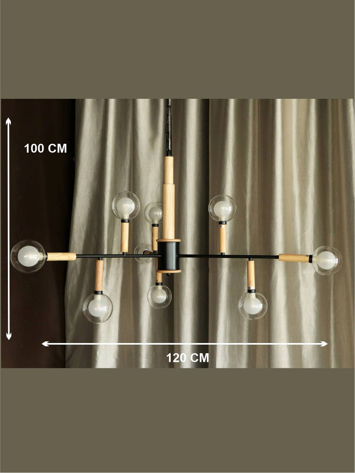 Designer Ceiling Lamps