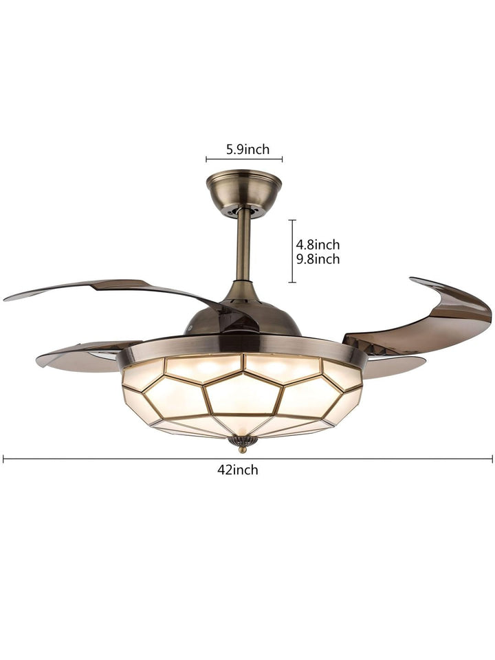 Designer Ceiling Lamps