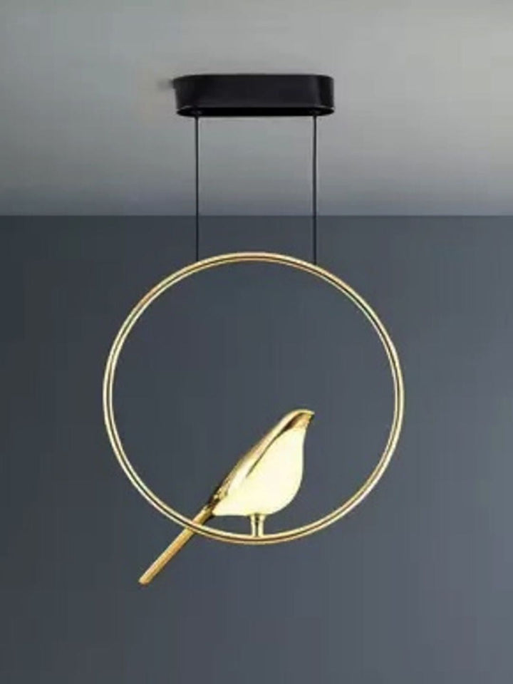 Designer Ceiling Lamps