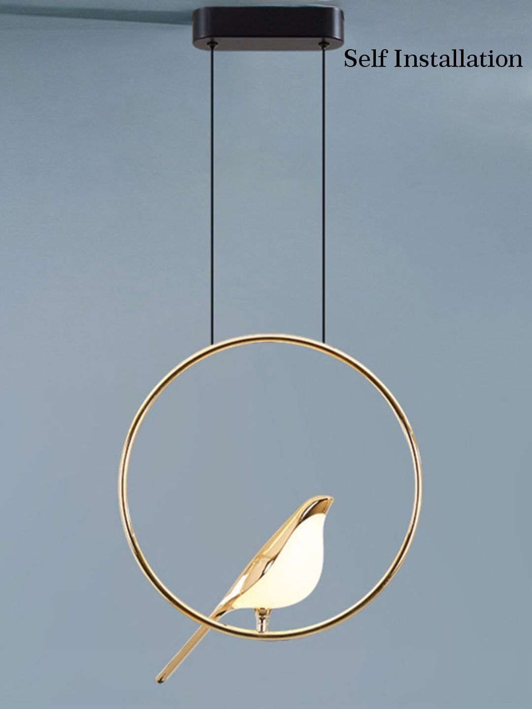 Designer Ceiling Lamps