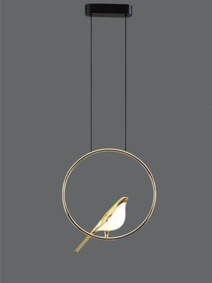 Designer Ceiling Lamps
