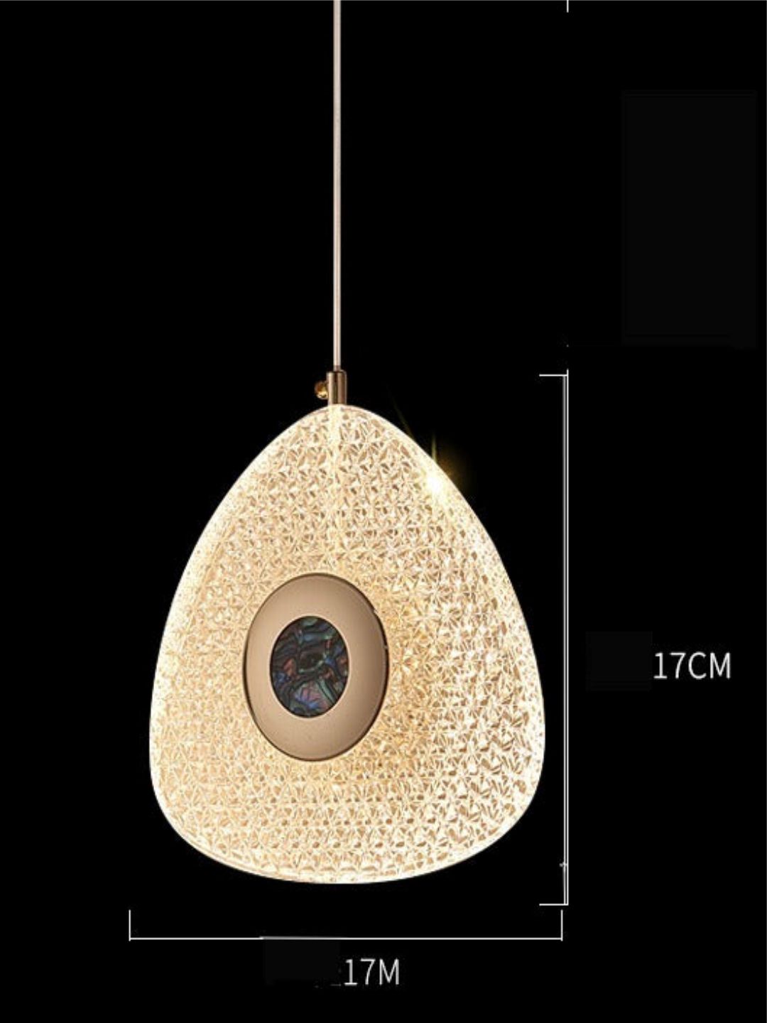 Designer Ceiling Lamps