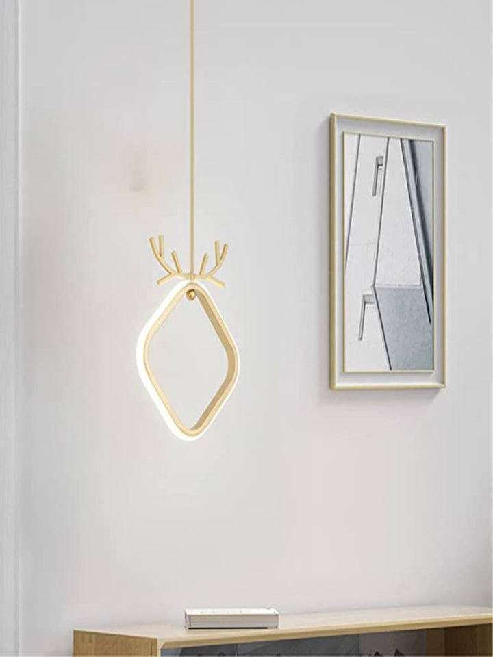 Designer Ceiling Lamps