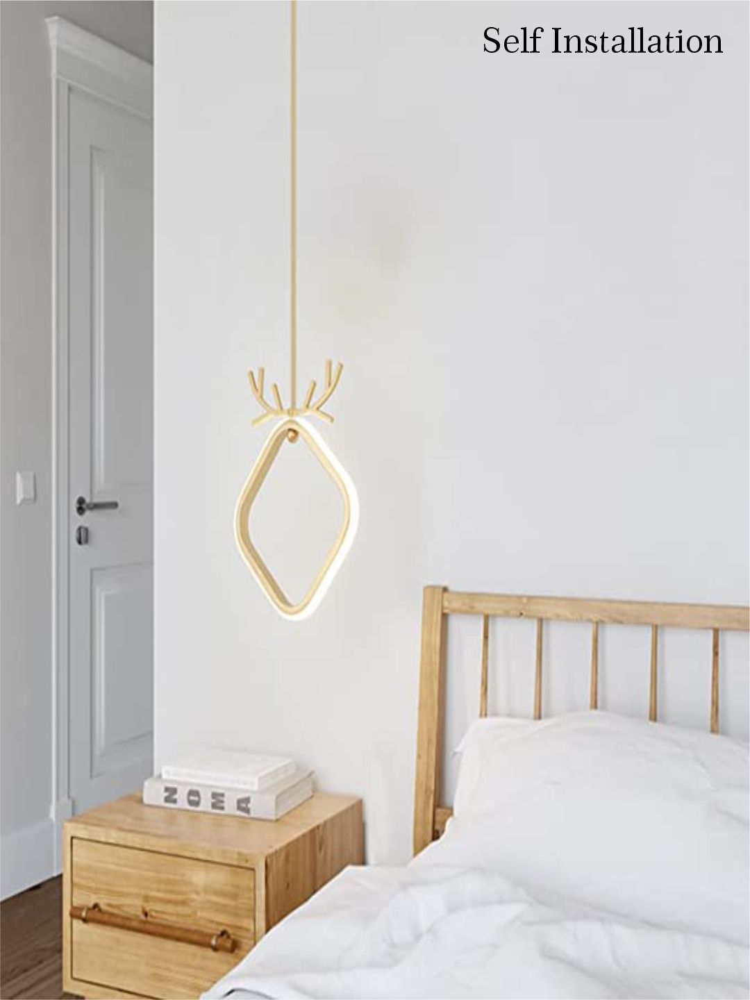 Designer Ceiling Lamps