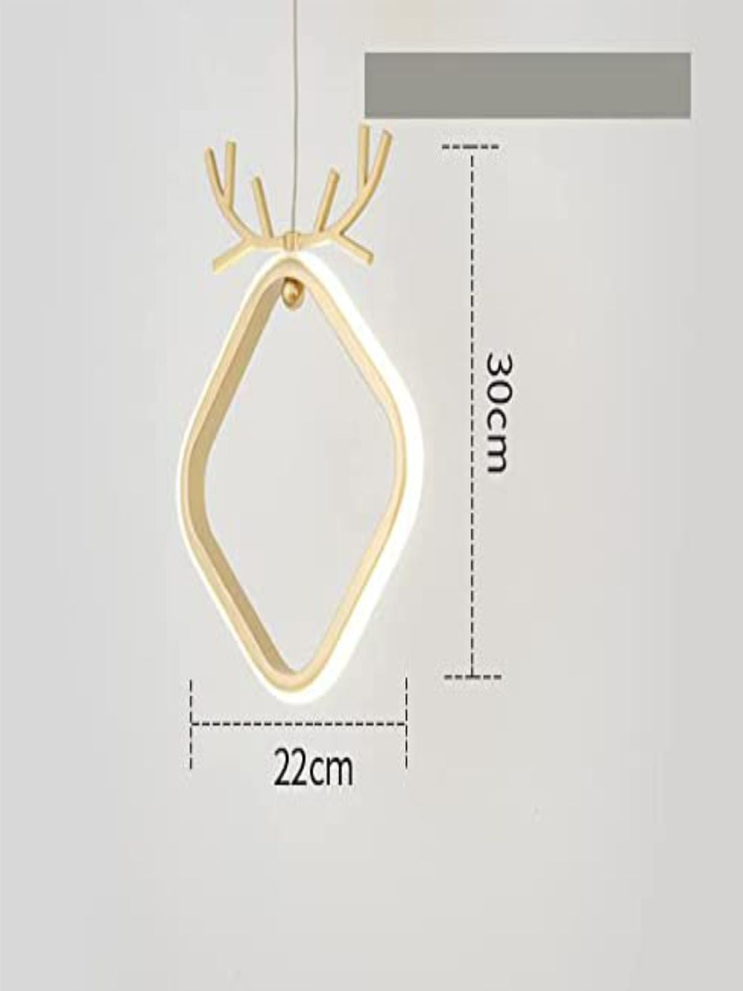 Designer Ceiling Lamps