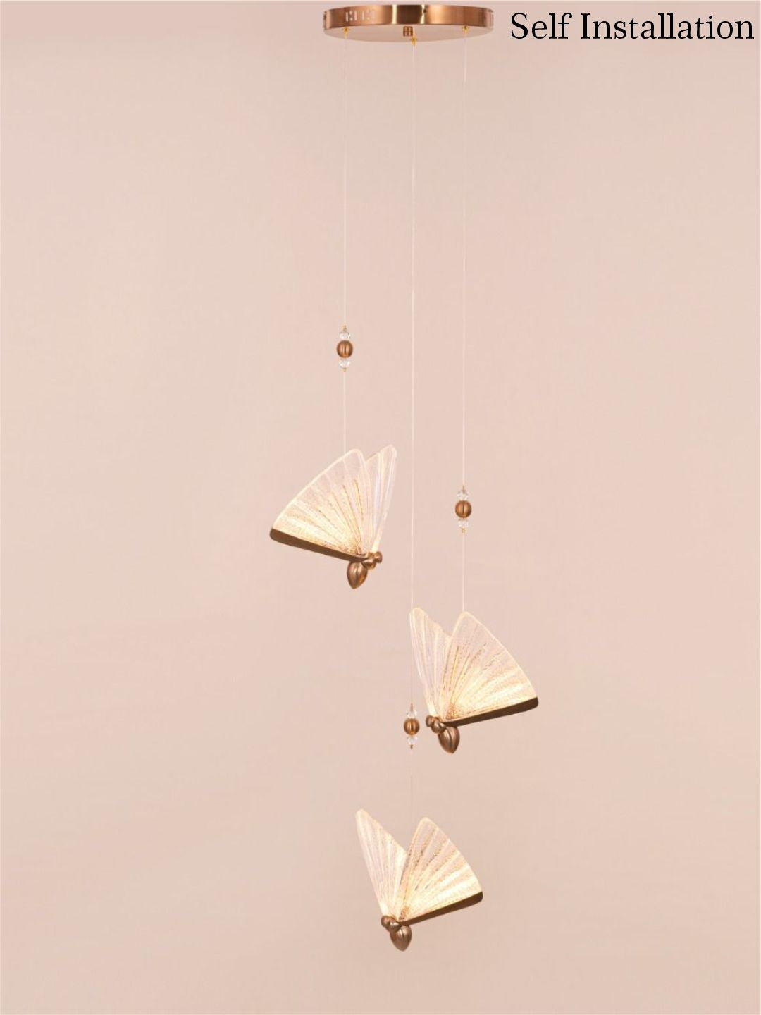 Designer Ceiling Lamps