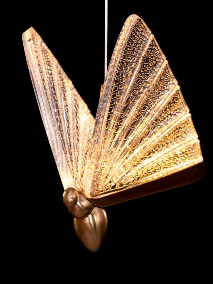 Designer Ceiling Lamps