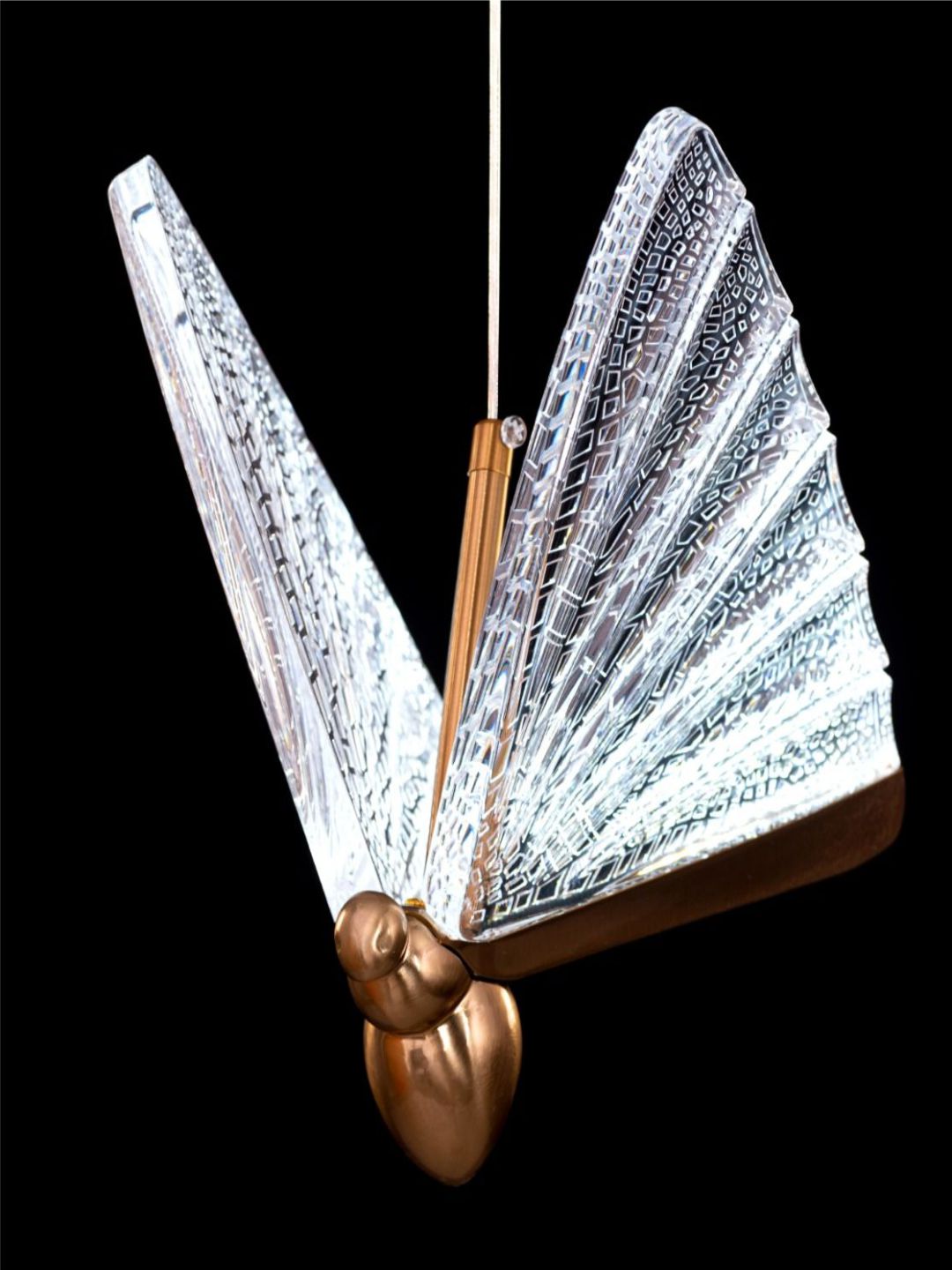 Designer Ceiling Lamps