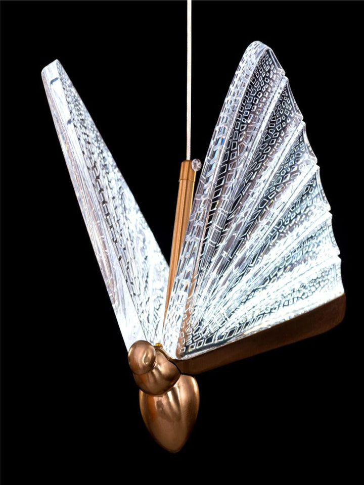Designer Ceiling Lamps