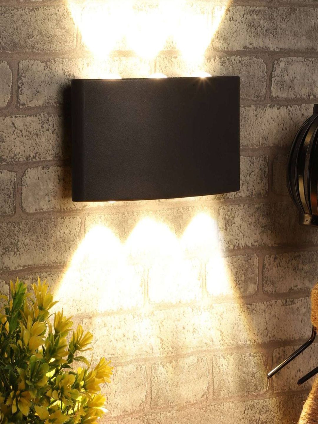 Designer Wall Lamps