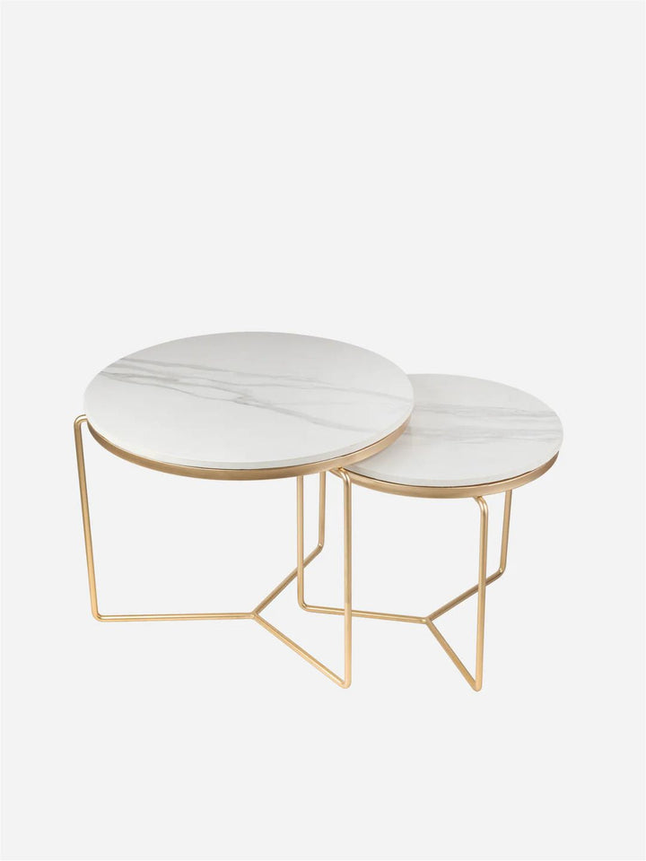 Designer Coffe table