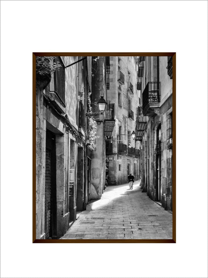 "Black  Grey Photograph Printed Framed Wall Art''