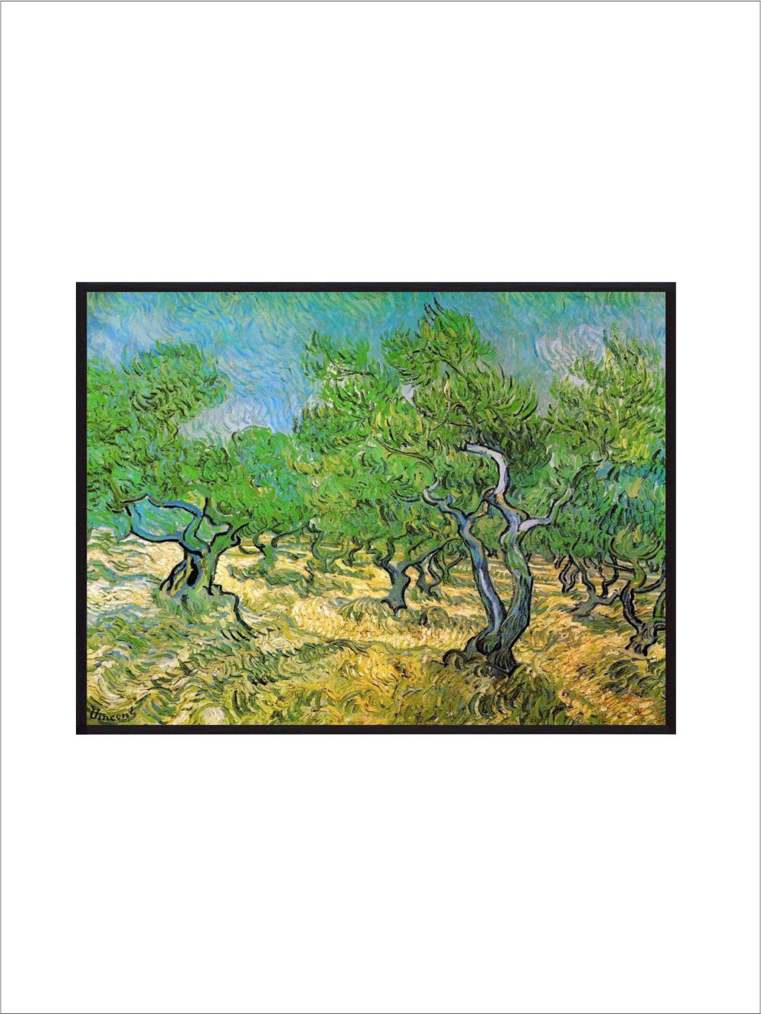 "Olive Grove By Van Gogh Printed Framed Wall Painting''