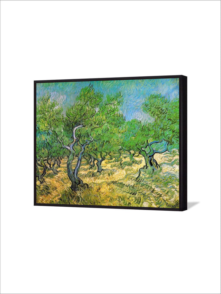 "Olive Grove By Van Gogh Printed Framed Wall Painting''