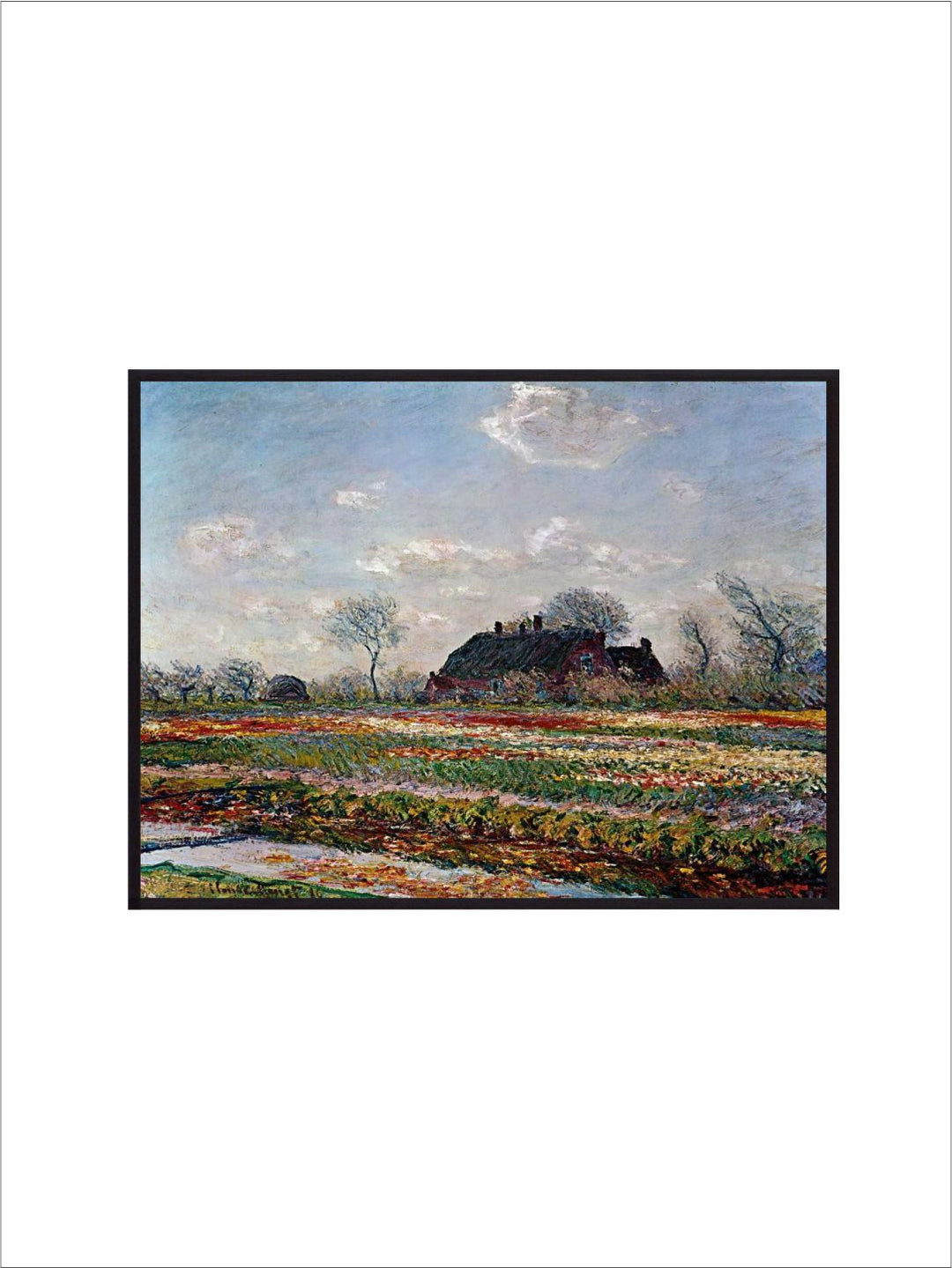 "Blue & White Tulip Field Sassenheim By Van Gogh''