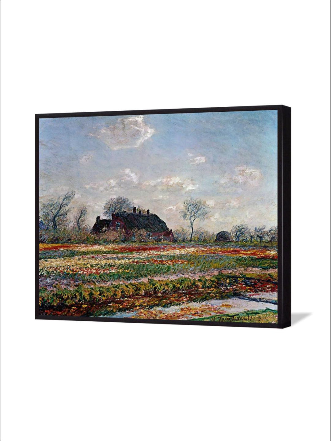 "Blue & White Tulip Field Sassenheim By Van Gogh''