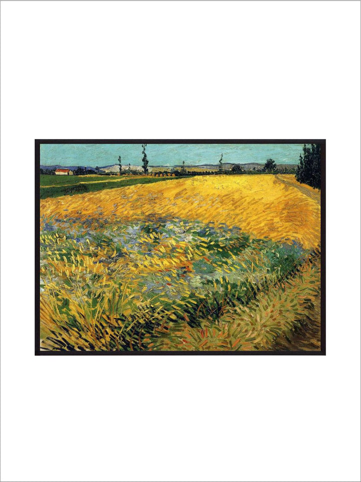 "Yellow & Green Wheatfield By Van Gogh''
