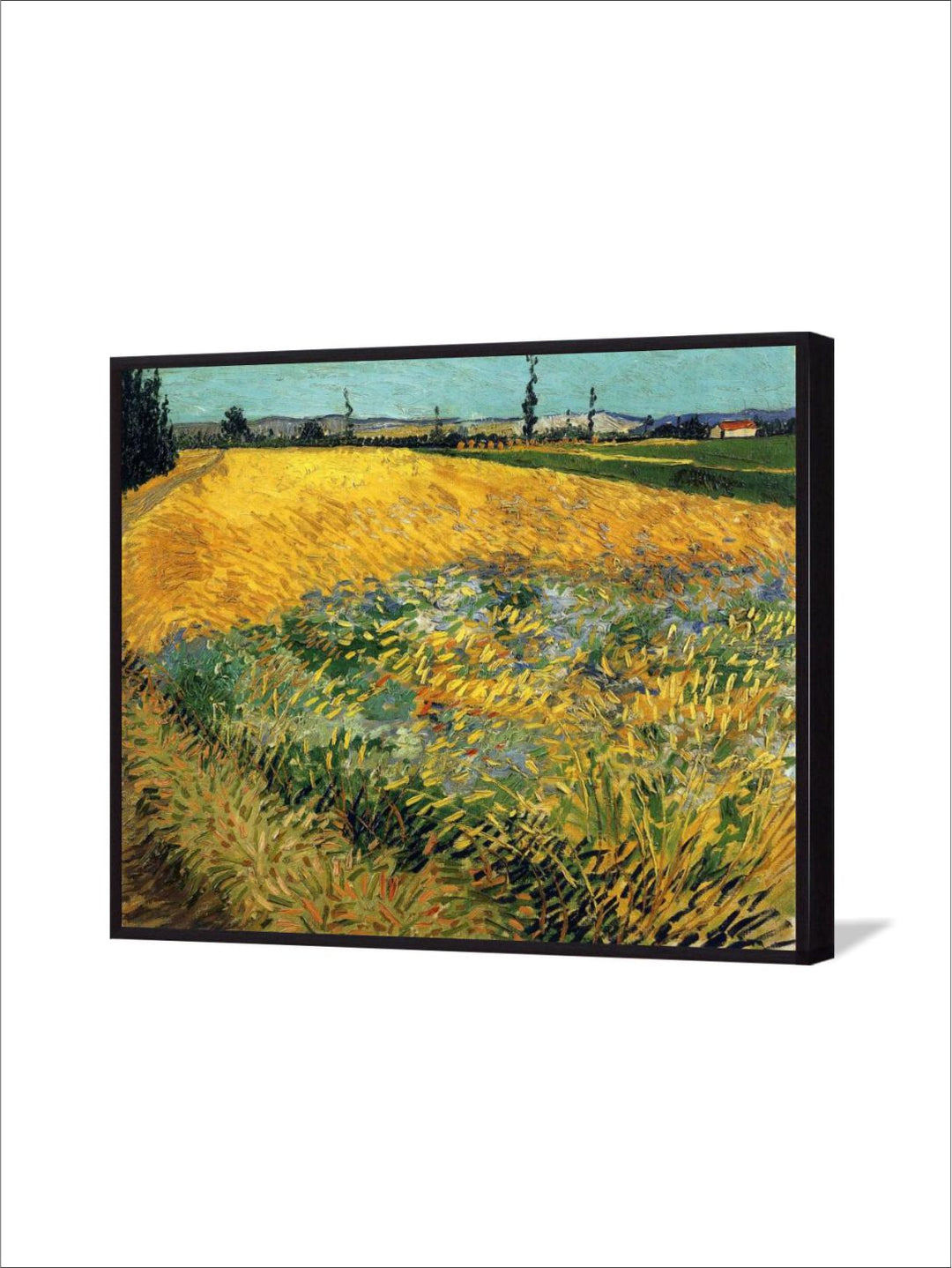 "Yellow & Green Wheatfield By Van Gogh''