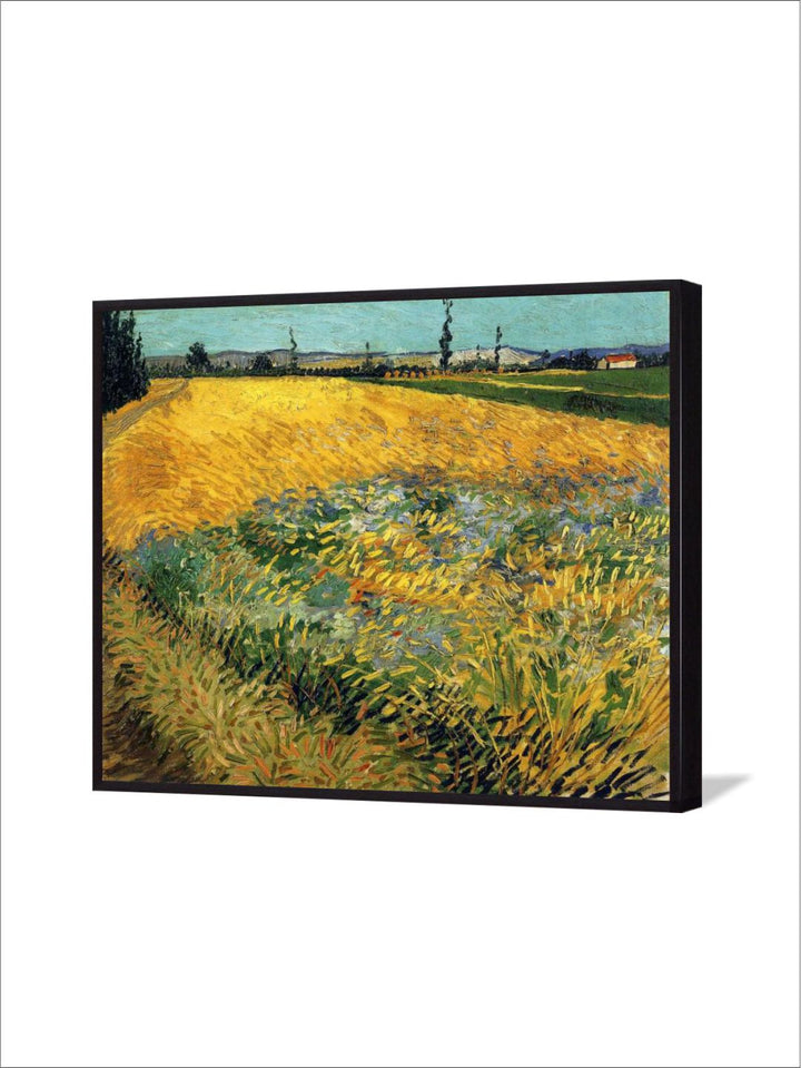 "Yellow & Green Wheatfield By Van Gogh''