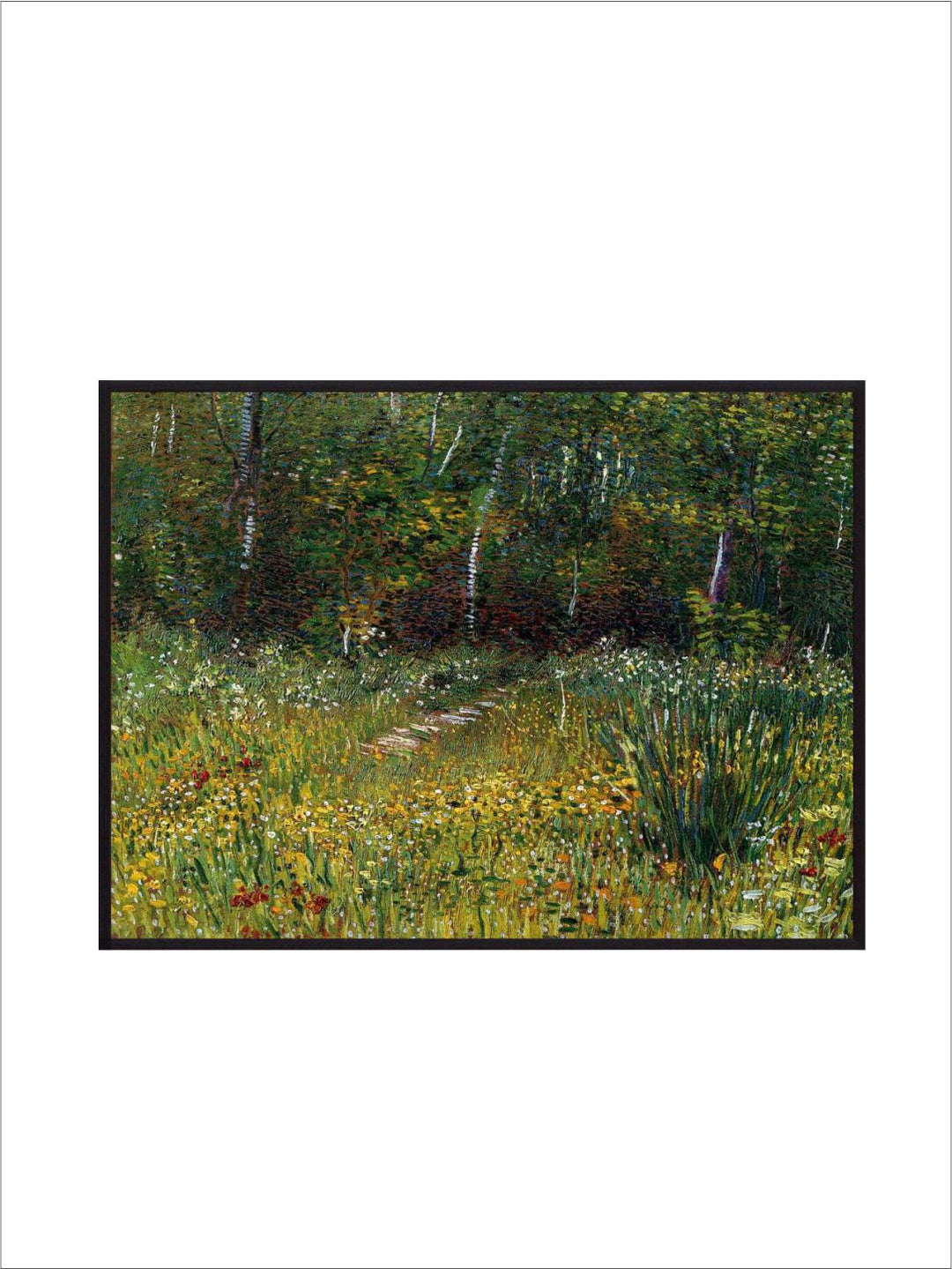 "A Park In Spring 1887 By Van Gogh Printed Framed Wall Art''