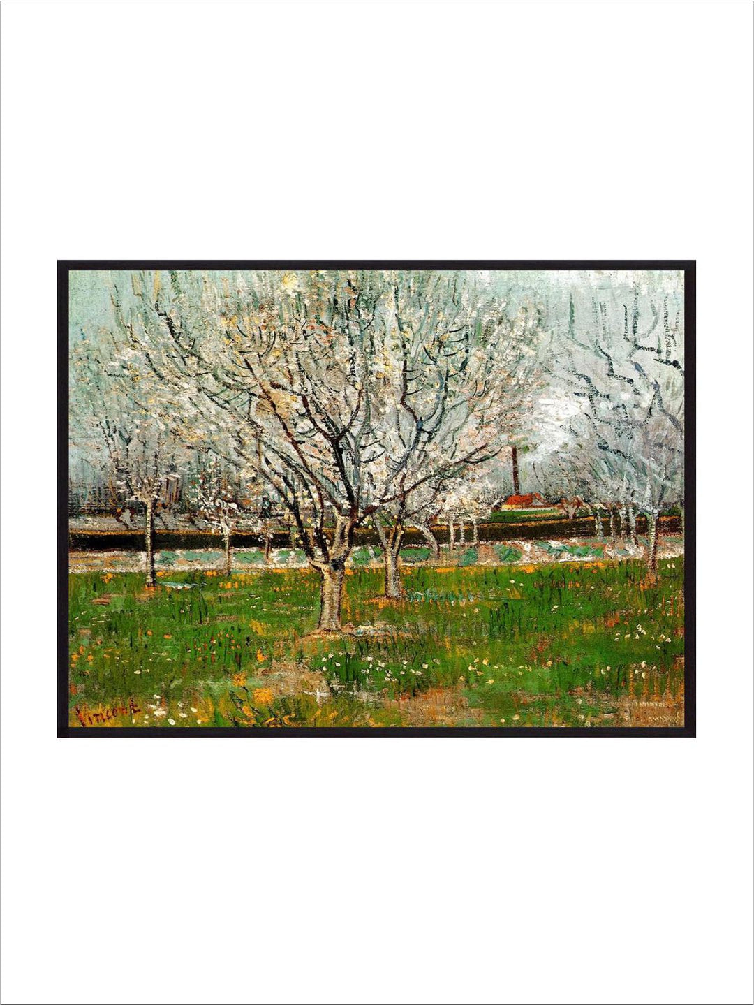 "Plum Trees In Blossom By Van Gogh Wall Painting''