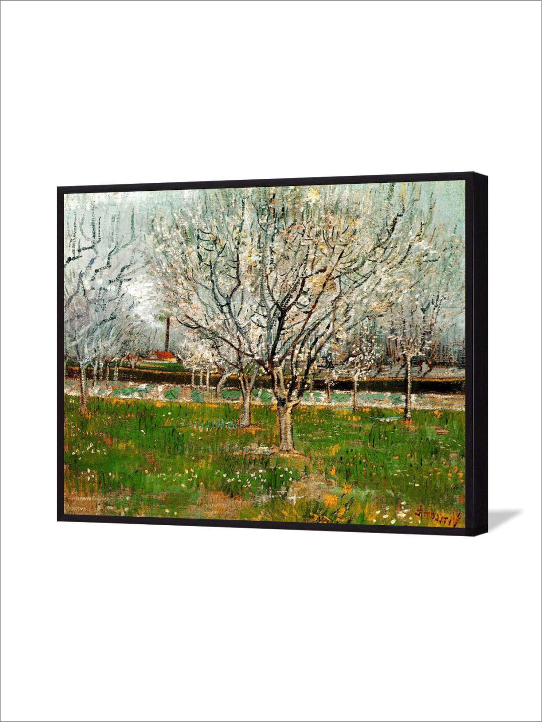 "Plum Trees In Blossom By Van Gogh Wall Painting''