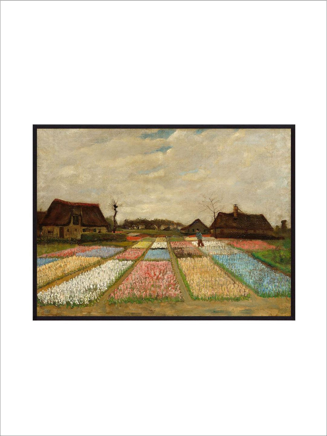 "Bulb Fields By Van Gogh Framed Wall Painting''