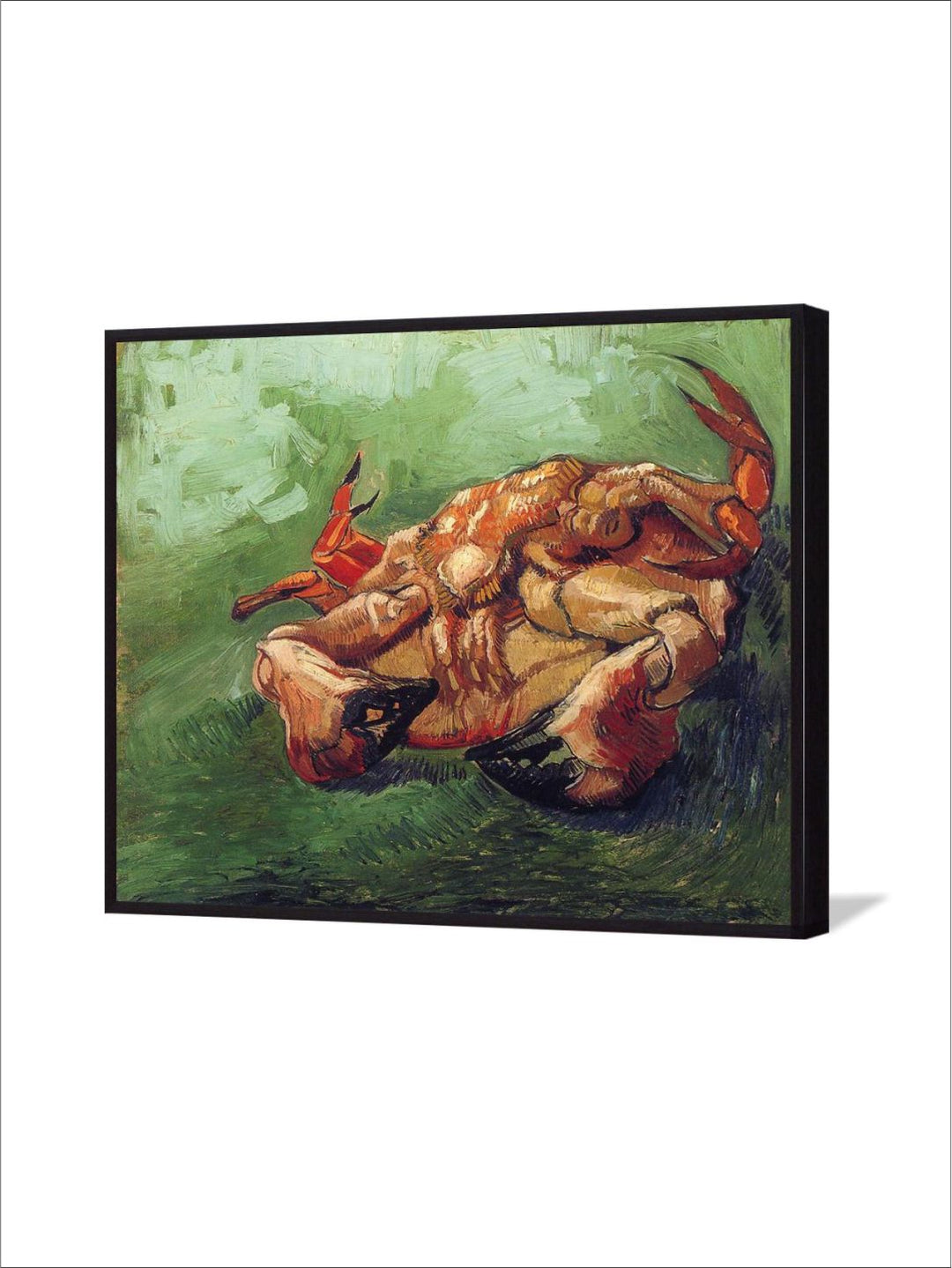 "Green & Brown Crab On His Back By Van Gogh Wall Art''